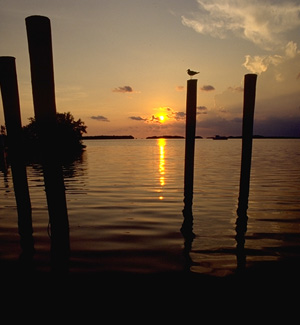 Gulf of Mexico & Sunset