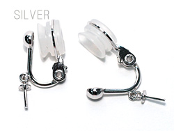 \tg^b`COSILVER