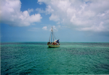 カリブ海