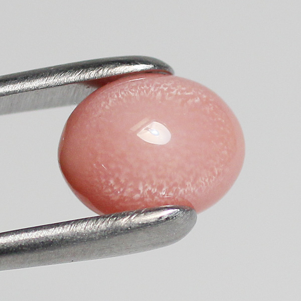 conch pearl 3.543ct